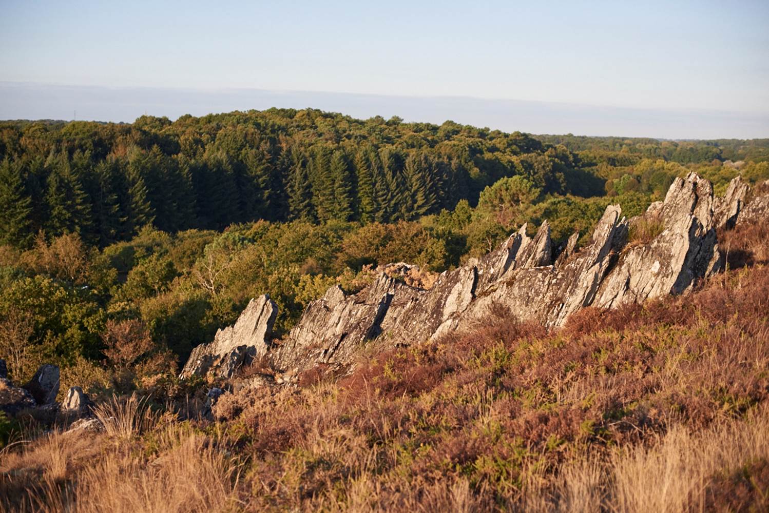 Ardoisières de Pluherlin