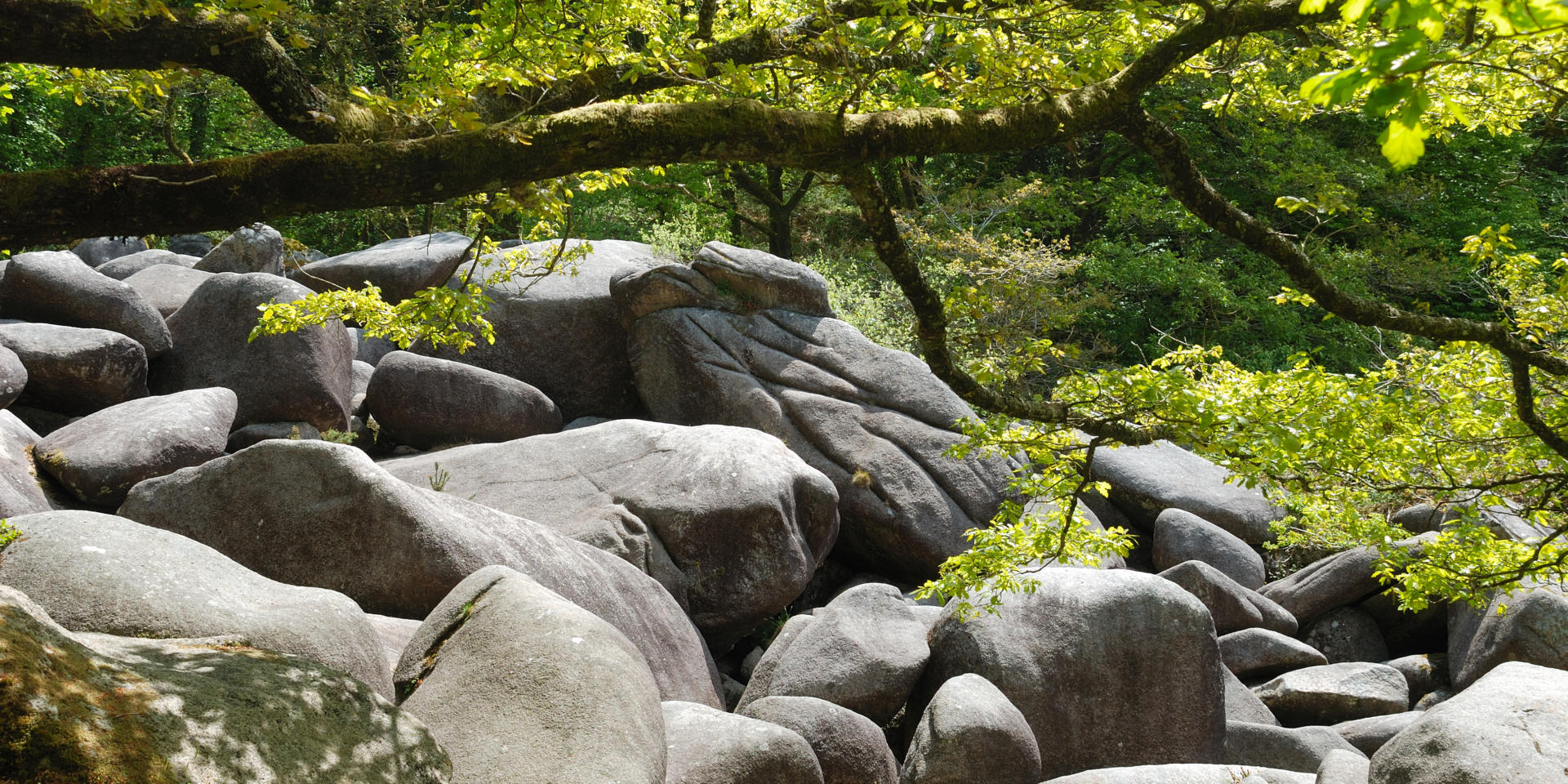 Gorges du Corong et landes de Locarn