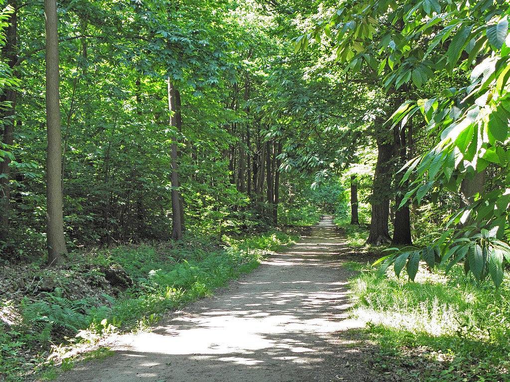Maison des Fées from Le Tronchet