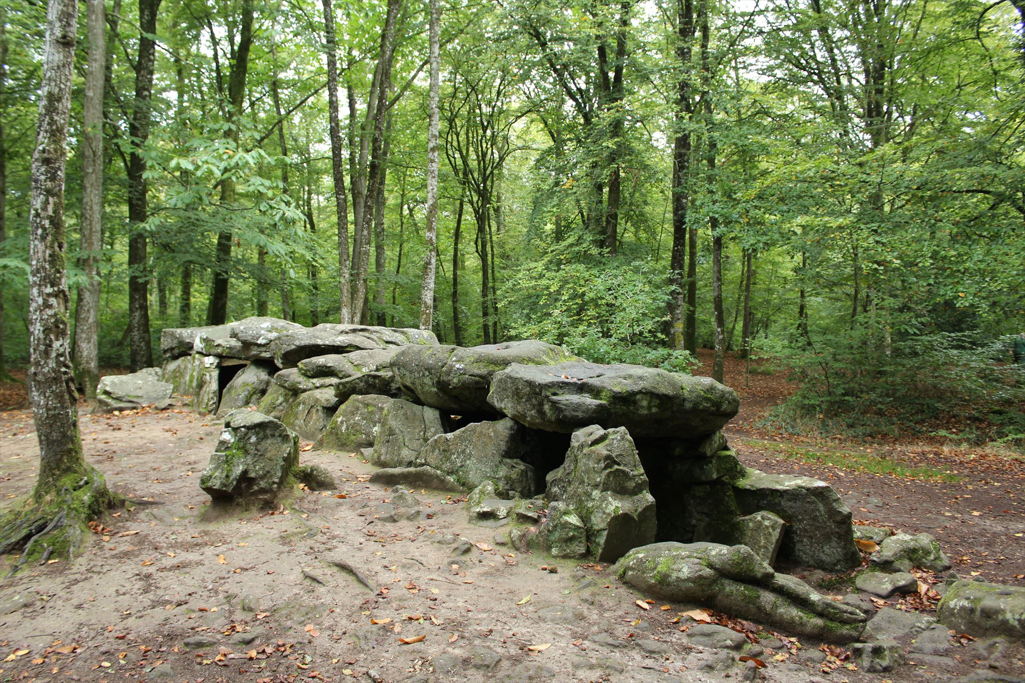 Maison des Feins from Tressé