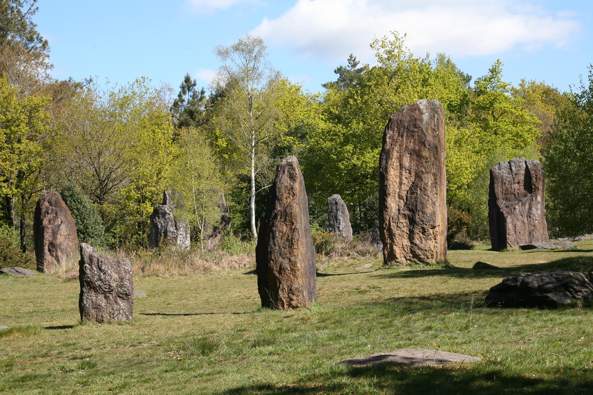 Menhirs de Monteneuf