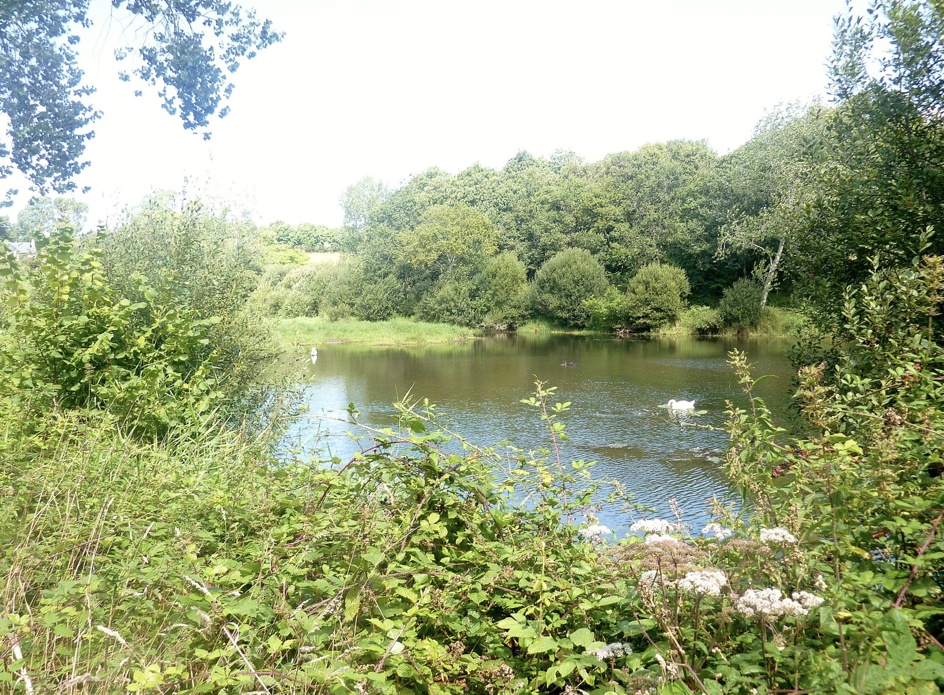 Plan d'Eau du Moulin Neuf