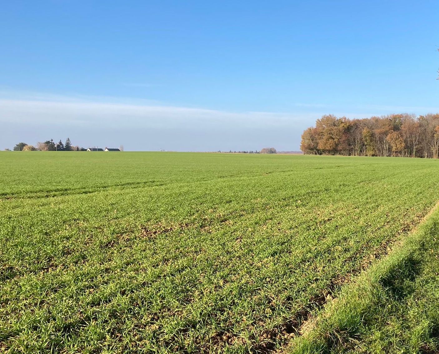 Around Parçay-Meslay