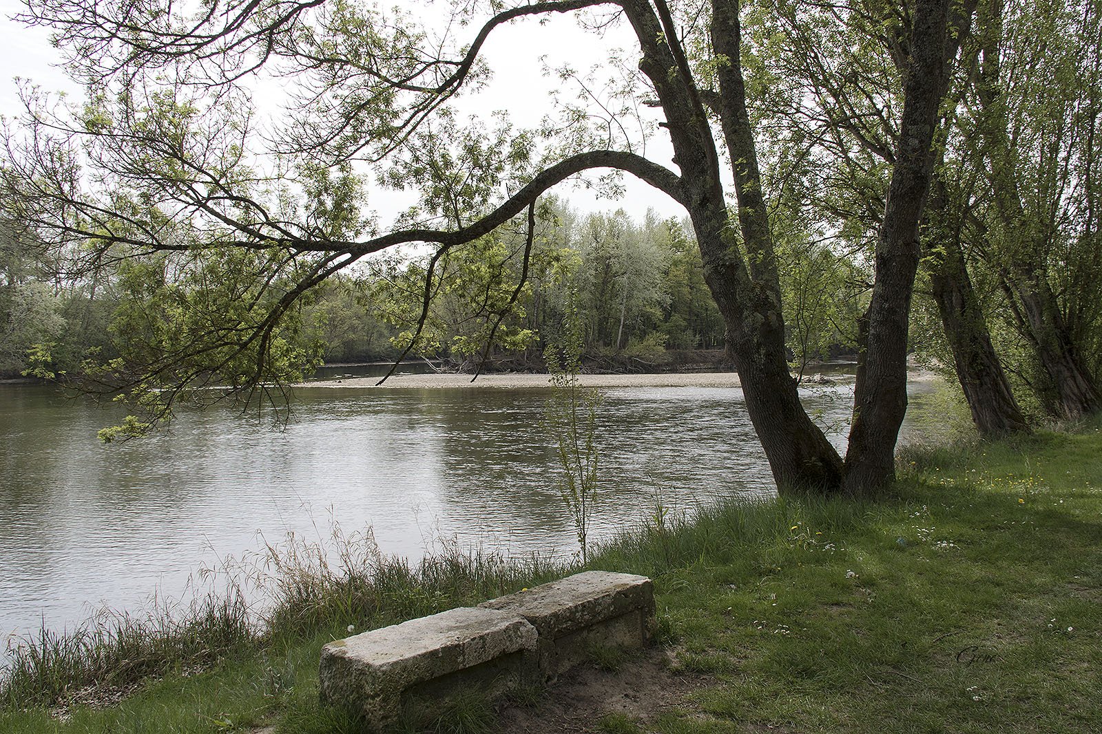 Banks of the Cher near Chenonceaux