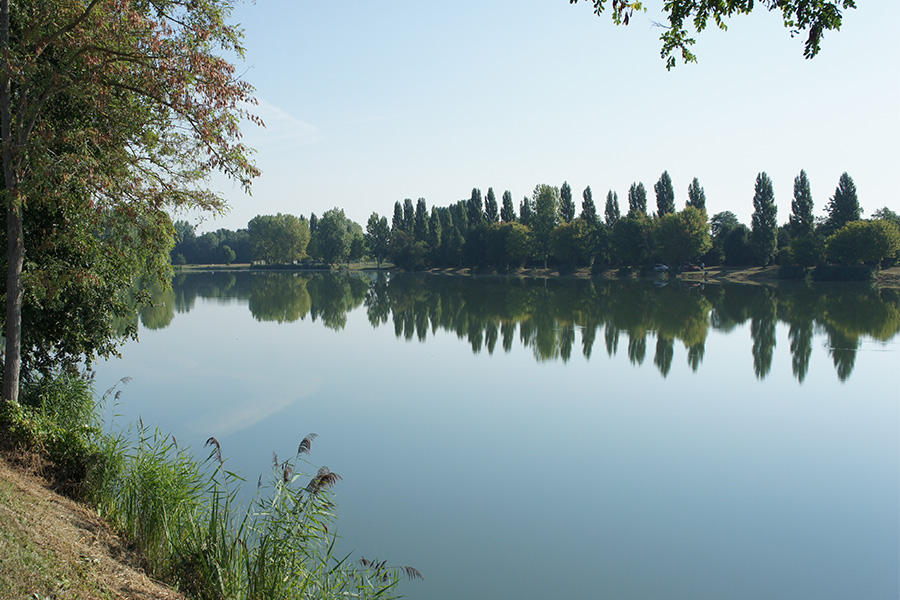 Étang de la Ballastière and Pêche Michel Hamet