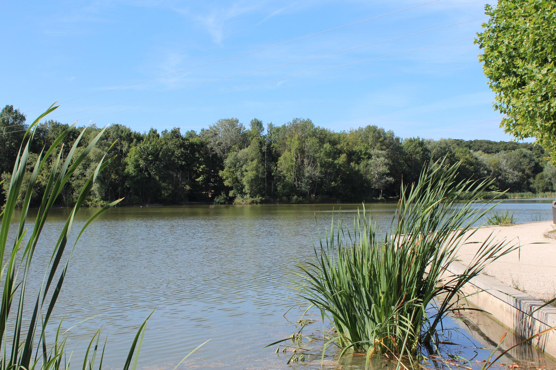 Lac de la Pinçonnière