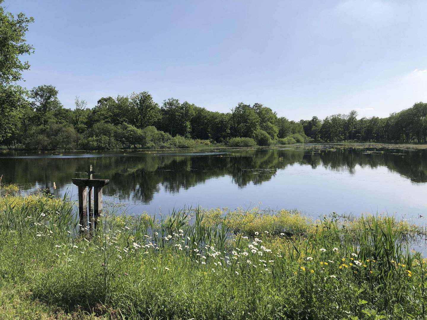 Ponds of Fontaines-en-Sologne