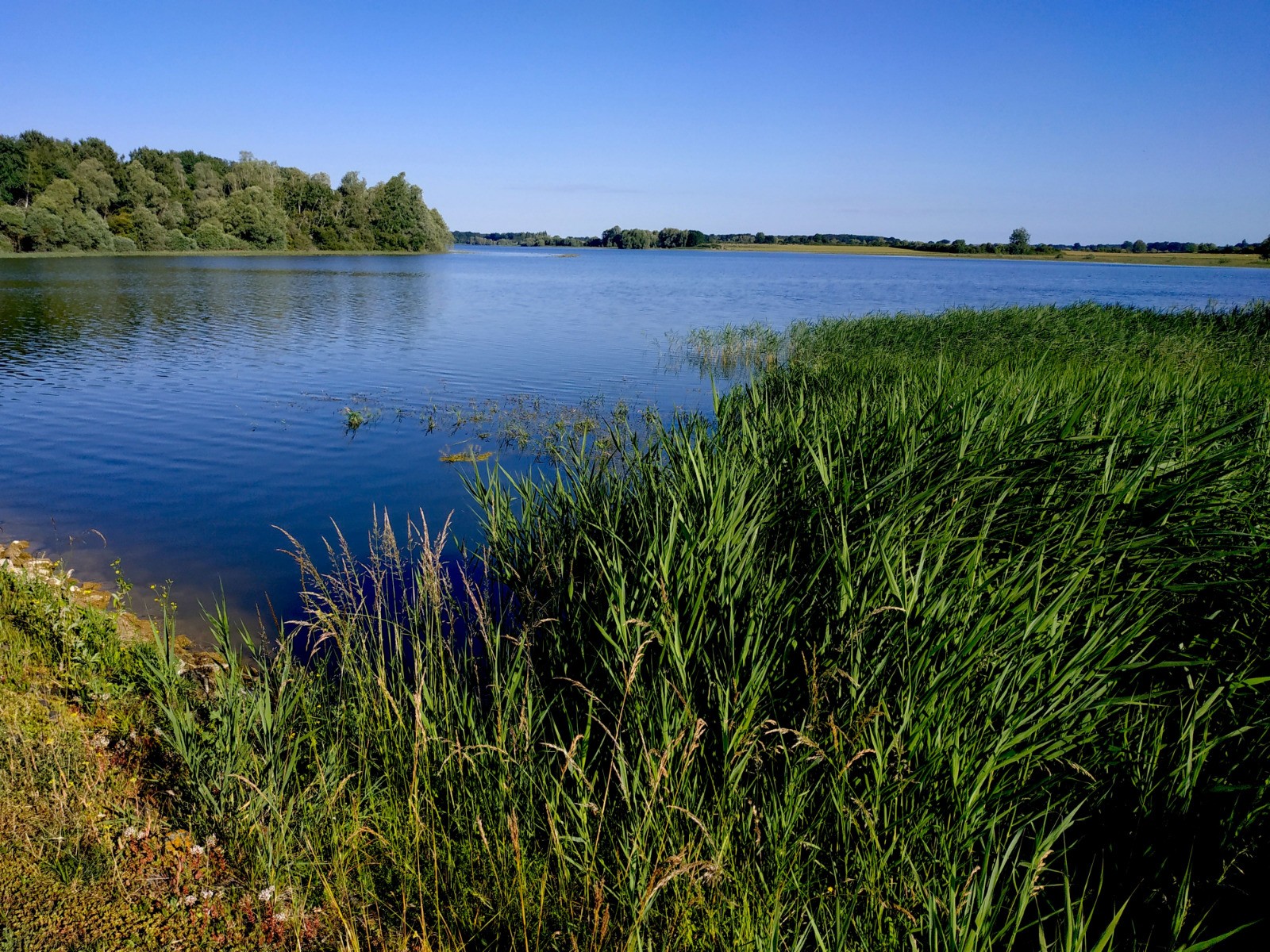 Retenue de Pincemaille