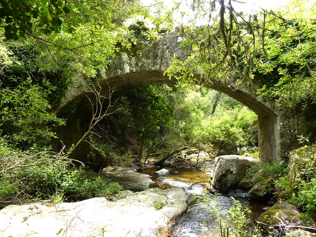 Autour d'Olmi-Cappella