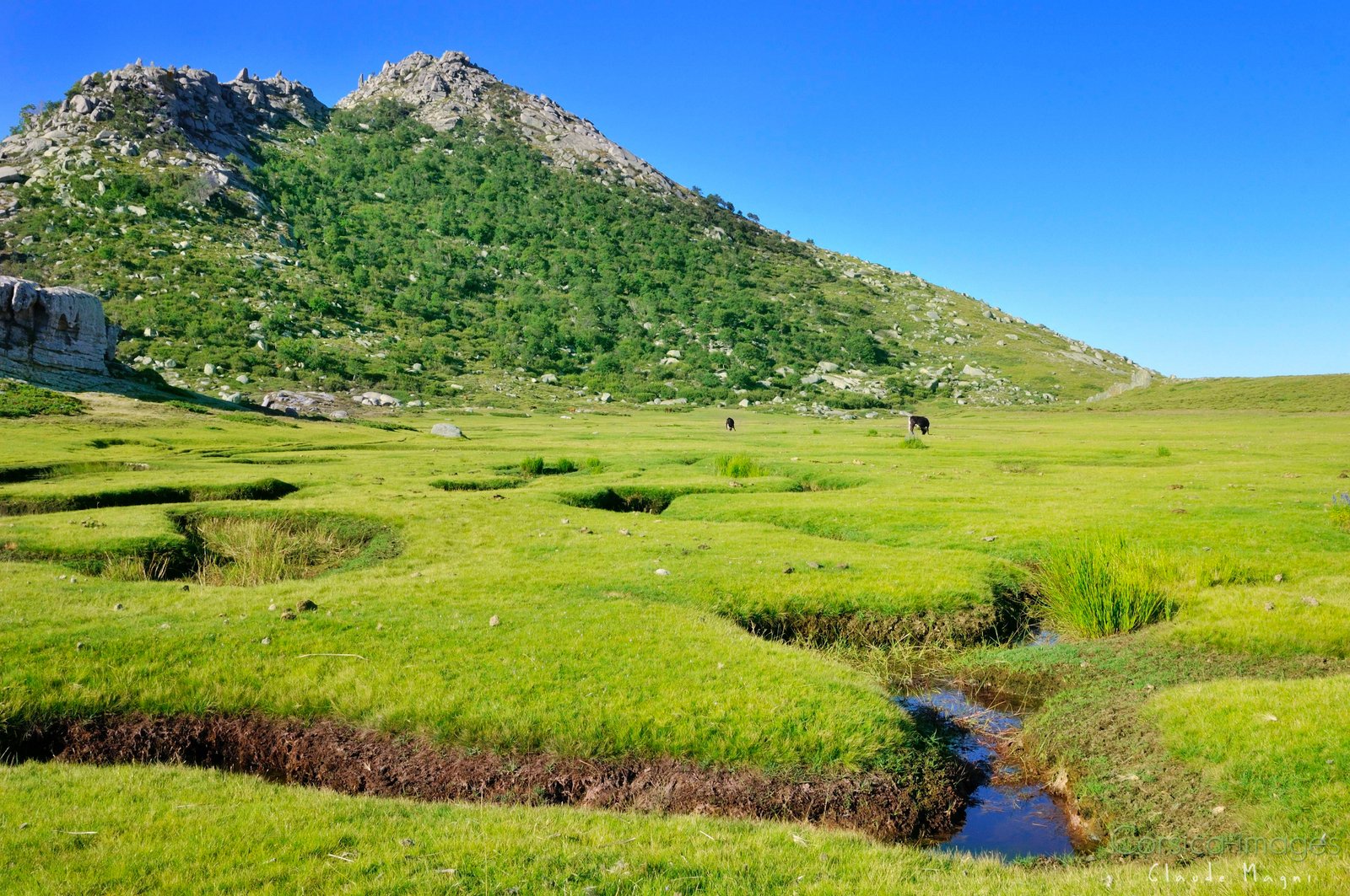 Plateau du Coscione depuis le refuge de Matalza