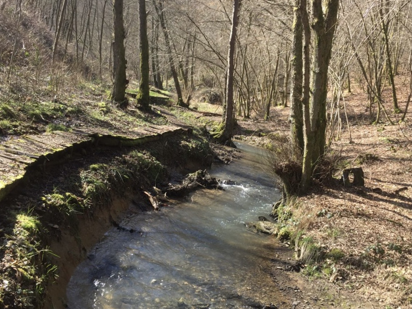 Around the Naidimont