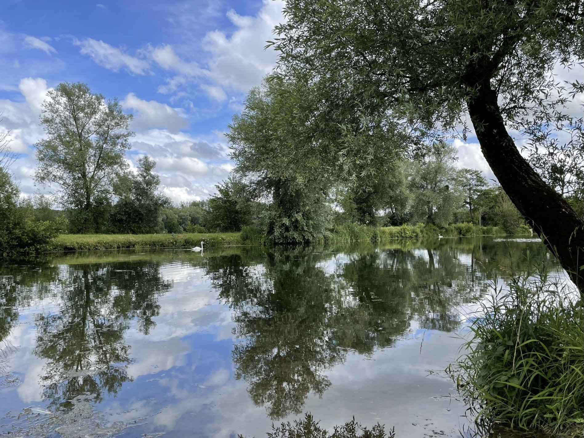 Ballastière des Ayvelles