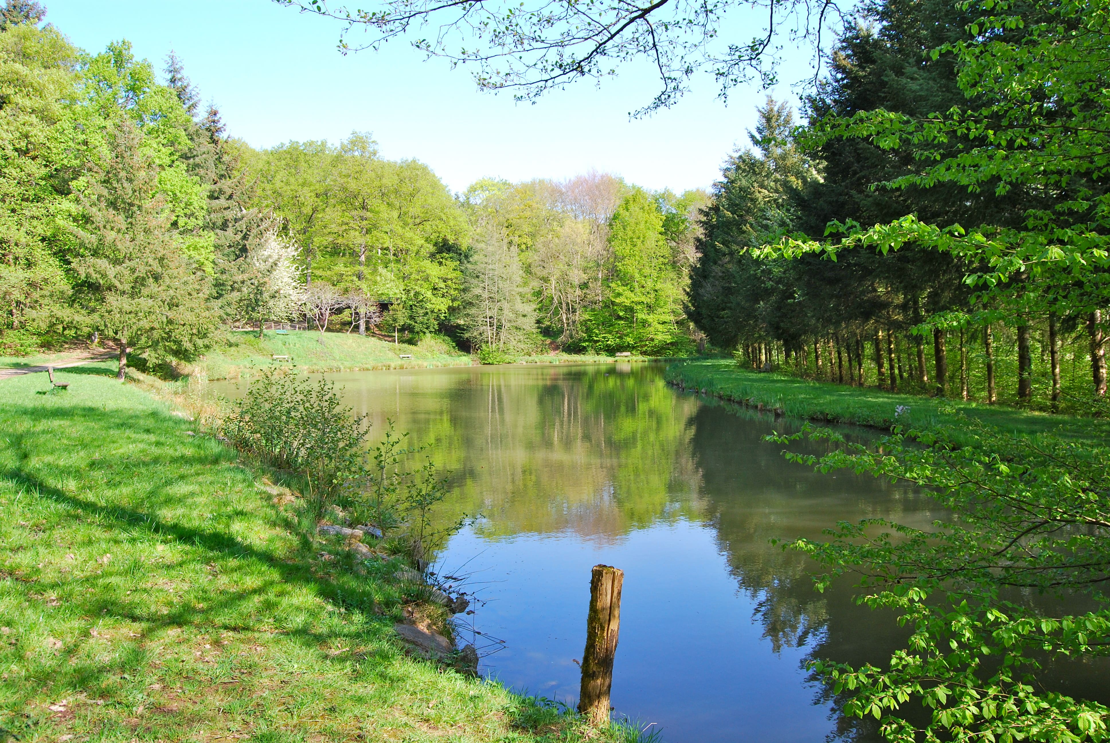 Bois de Hartmannswiller