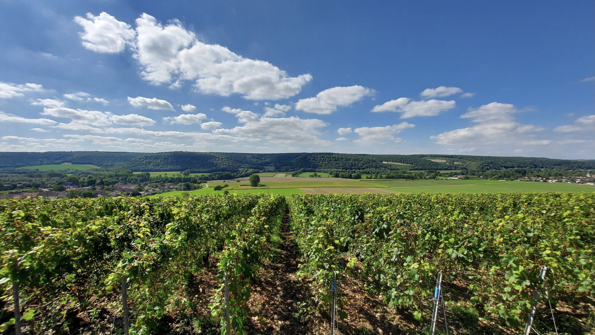 Heights of Montier-en-l'Isle