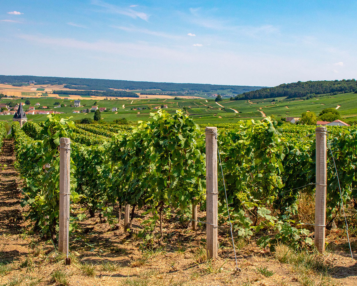 Chapelle Saint-Lié et Bois de la Fosse