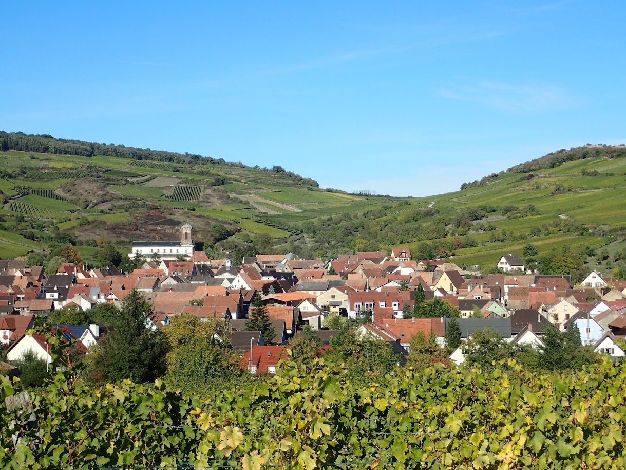 Vignoble et collines sèches
