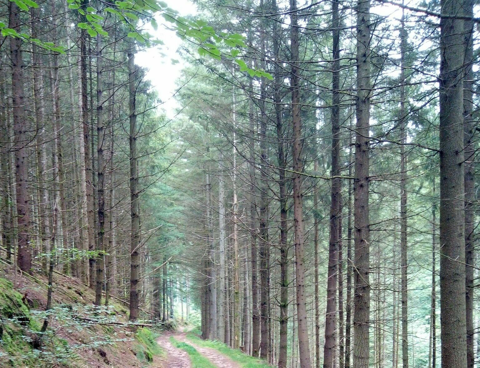 Domaine de la Verrerie