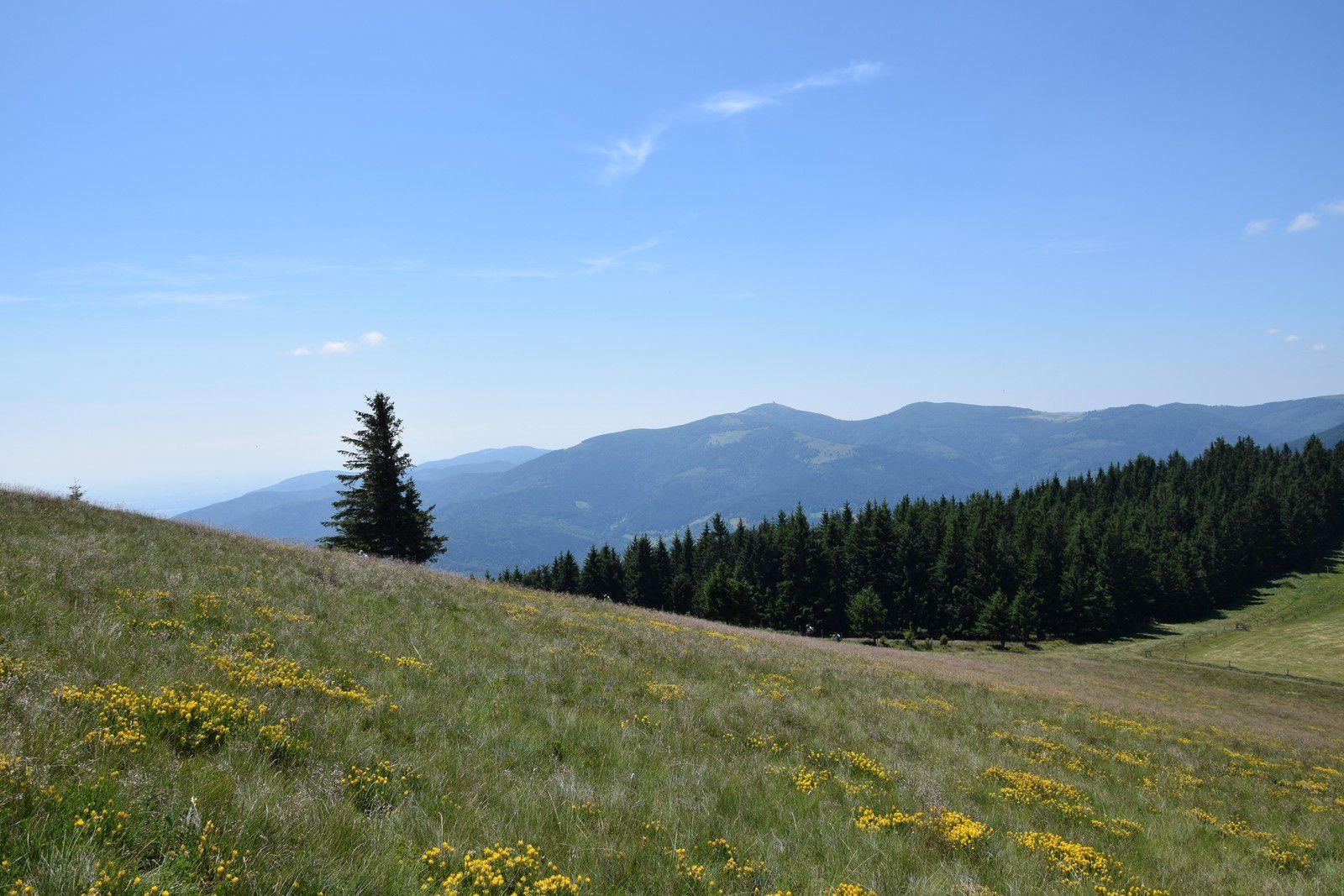 Du Grand Ballon au Petit Ballon