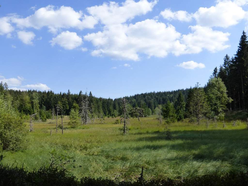 Étang de Jemnaufaing