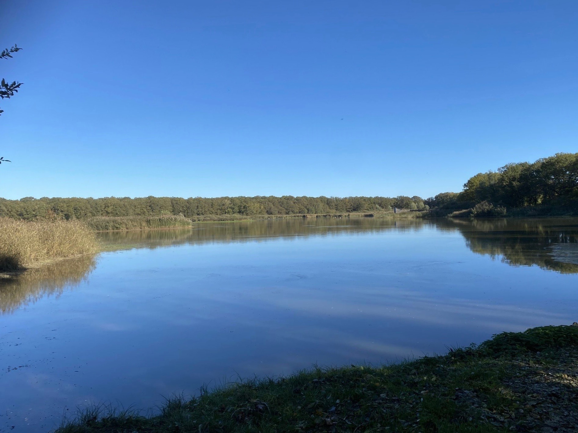 Étang du Grand Coulon and Lac du Der-Chantecoq