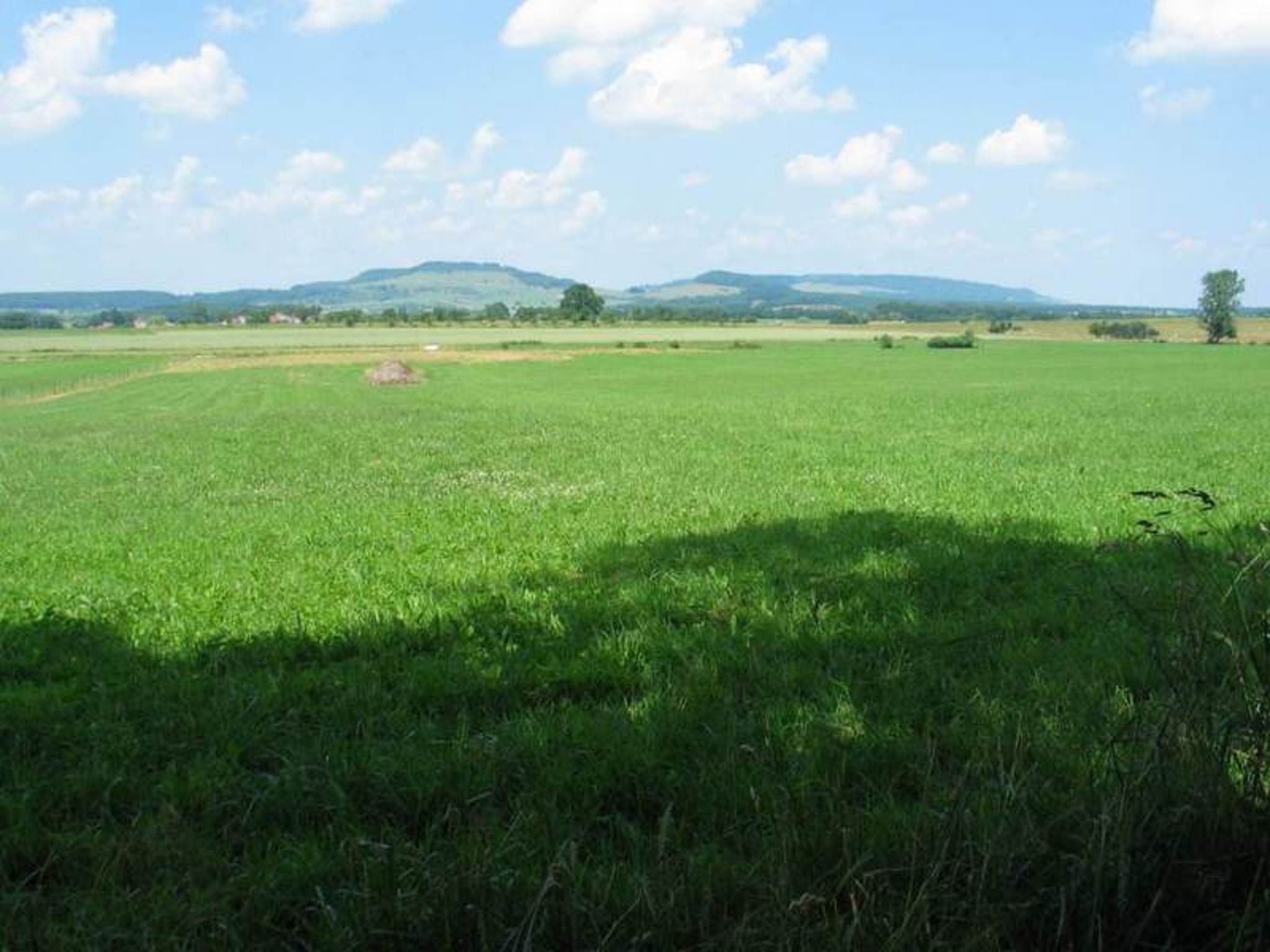 Bois Jury and Nauchamp