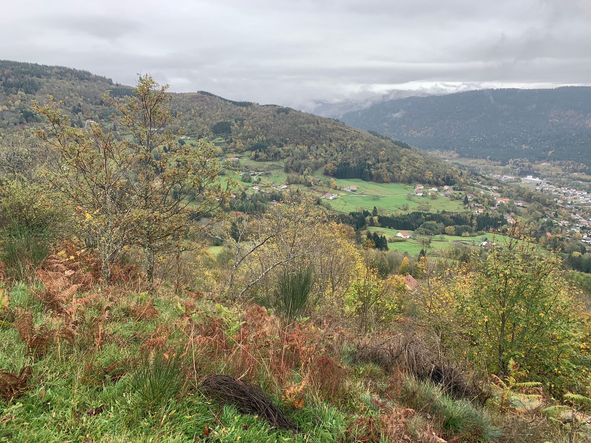 Heights of Saulxures-sur-Moselotte