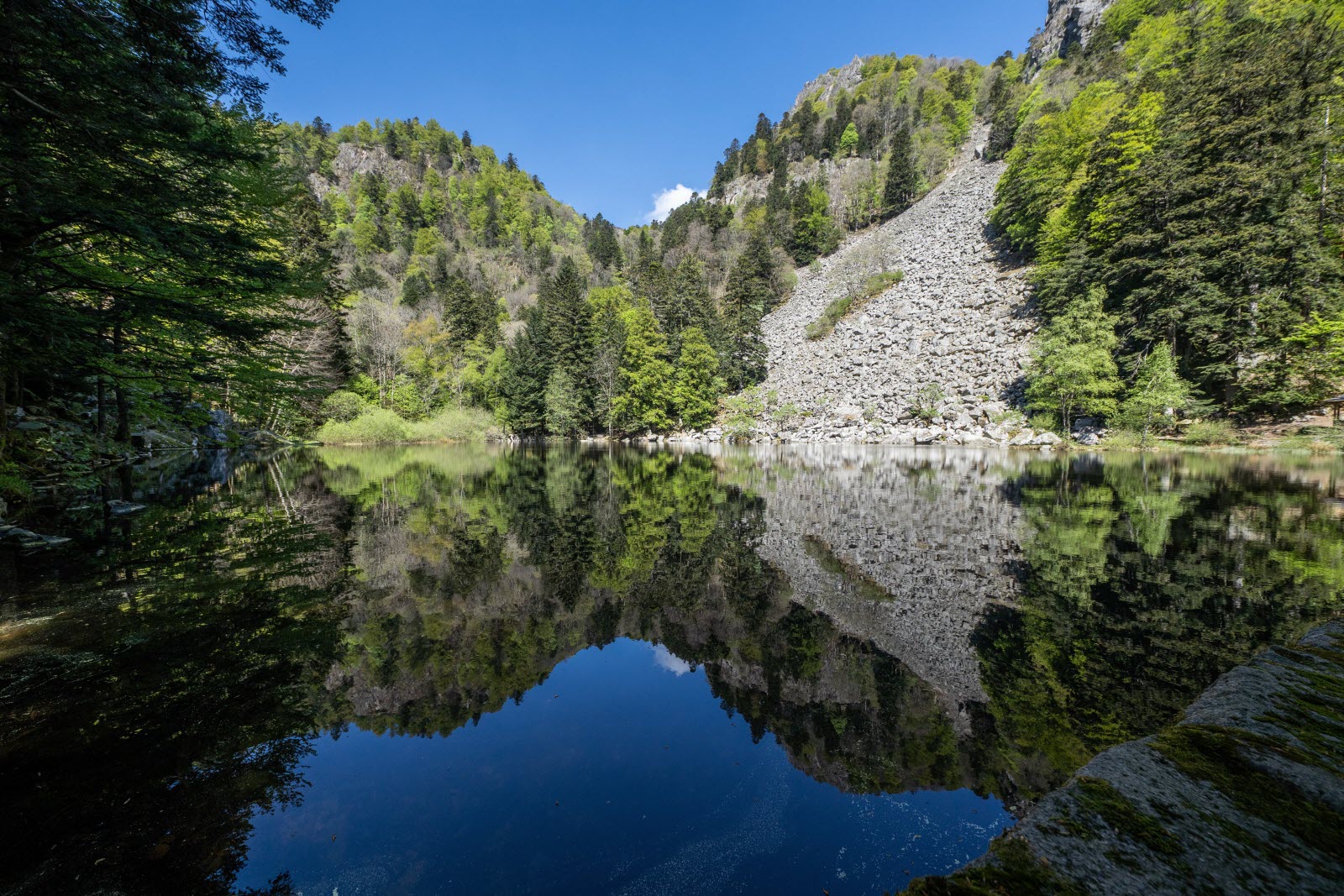 Lac de Fischboedle from Mittlach
