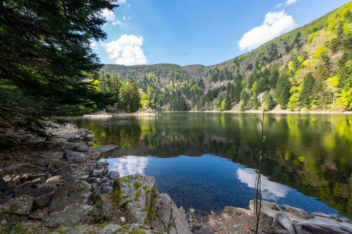 Lacs de l'Altenweiher et de Blanchemer