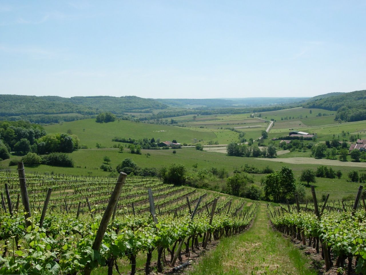 Loop of Coiffy-le-Haut