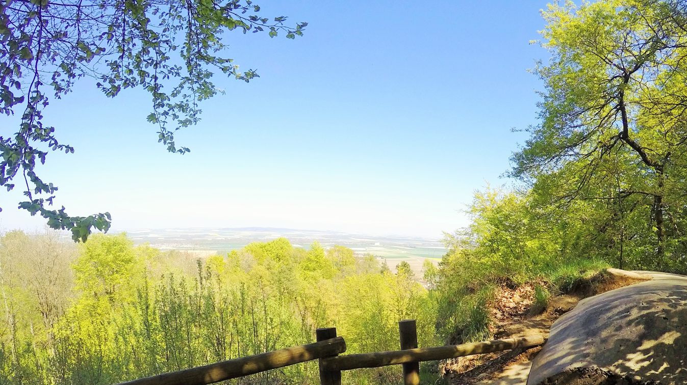 Mont Sinaï in a Loop