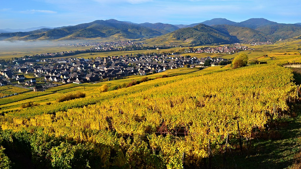 Hauteurs de Sigolsheim