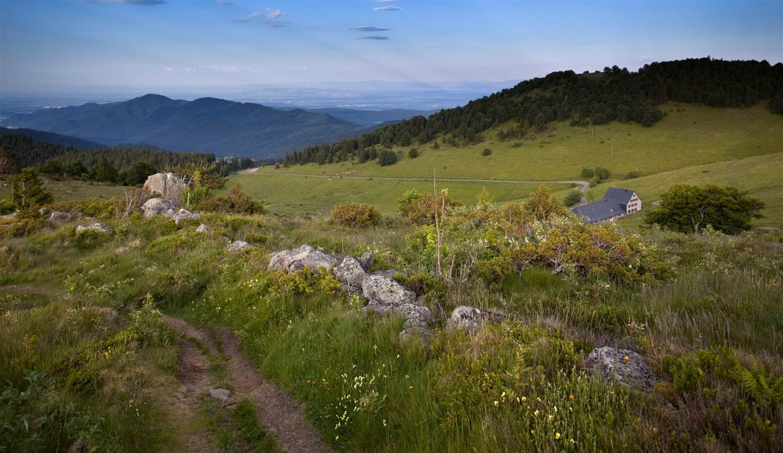 Petit ballon d'Alsace depuis le col du Boenlesgrab