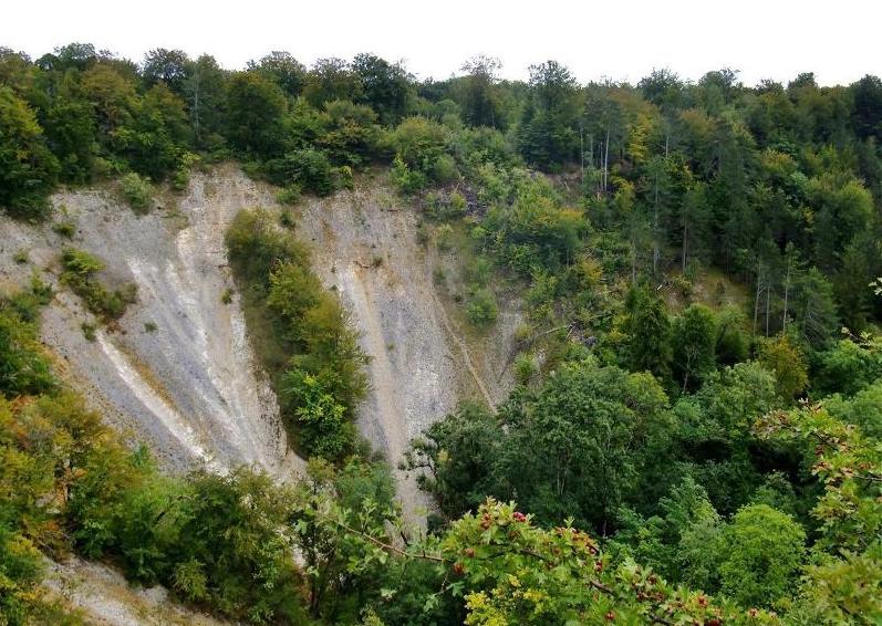 Réserve Biologique d'Orquevaux