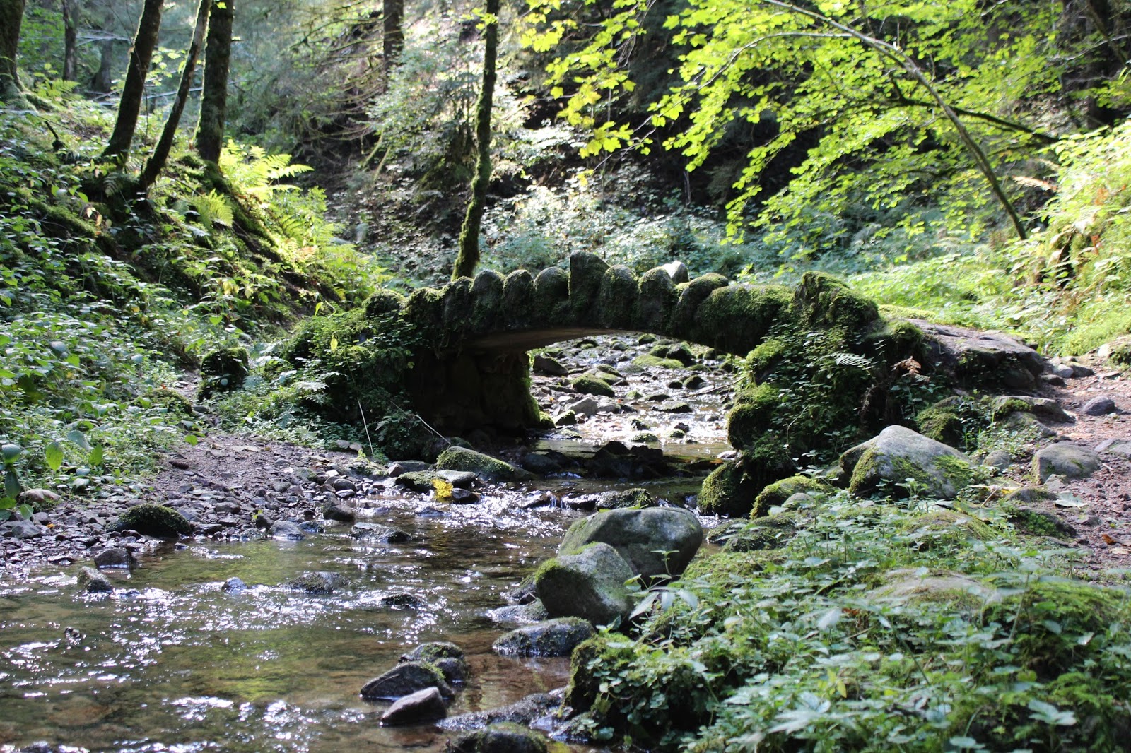 Saut de la Bourrique