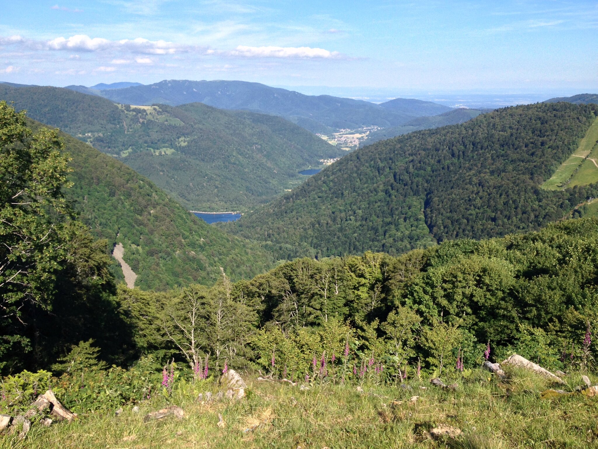 Sentier Découverte du Ballon d'Alsace 