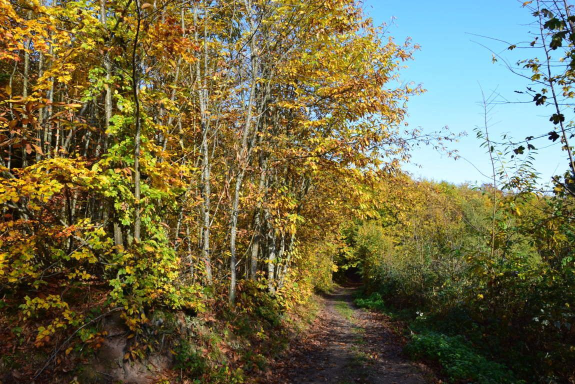 Sentier des Demoiselles de Pierre 