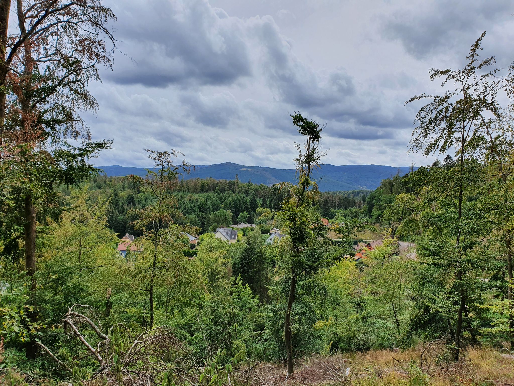 Sentier du Weinbaechel