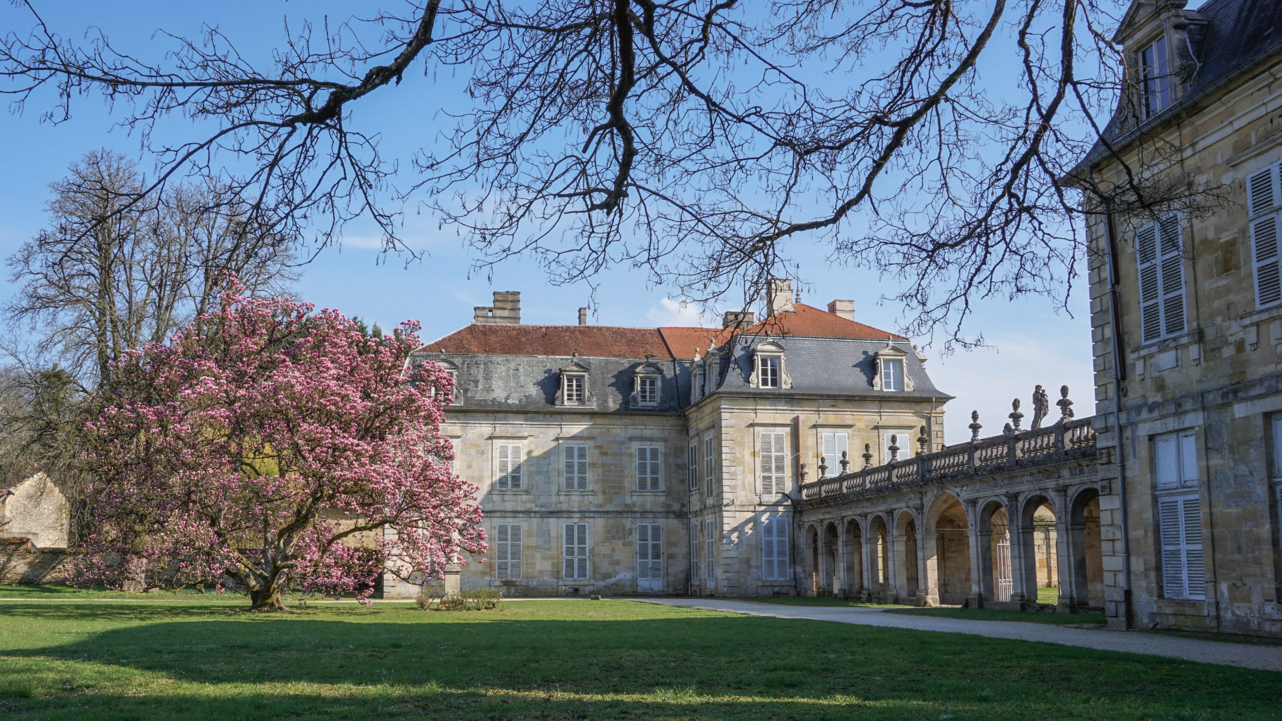 Around Trois-Fontaines-l'Abbaye