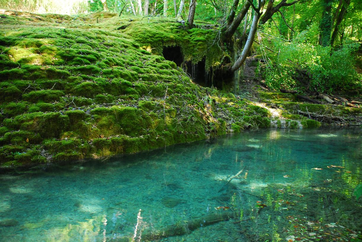 Tufière de Rolampont