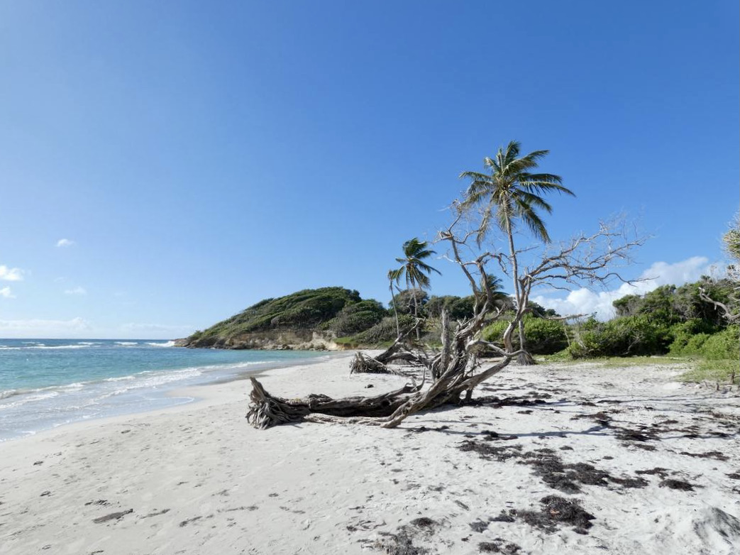 Plage de Saint-Félix