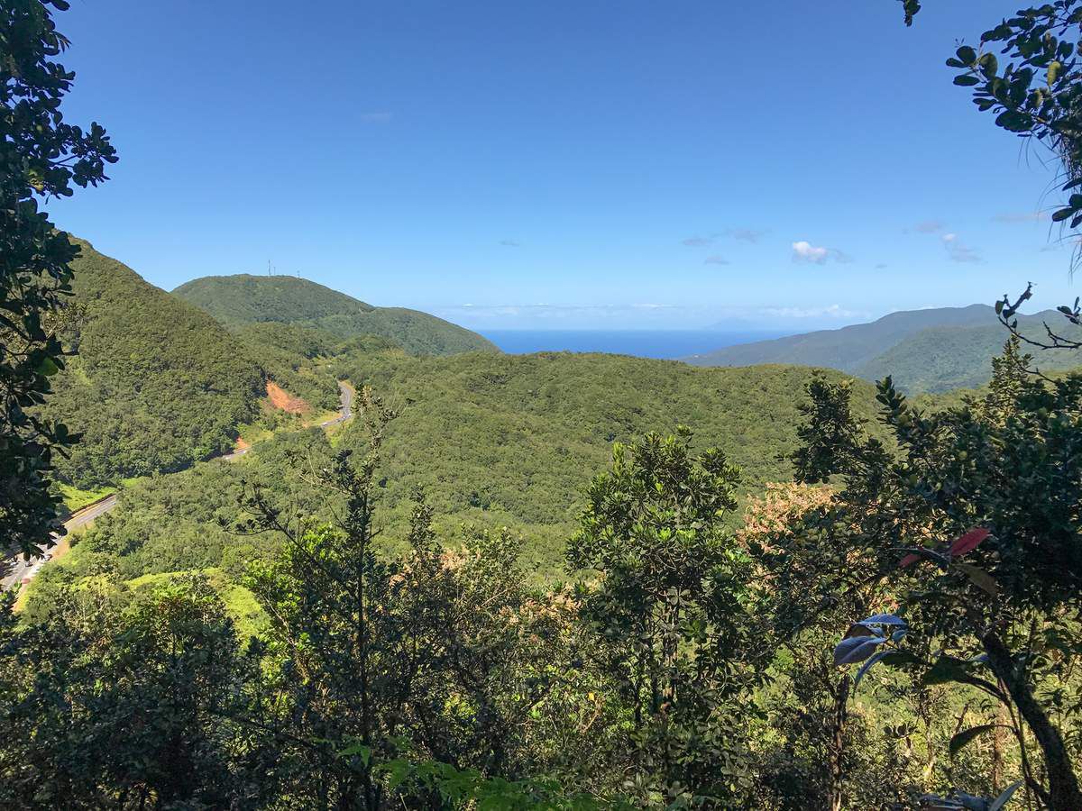 Mamelle de Petit-Bourg