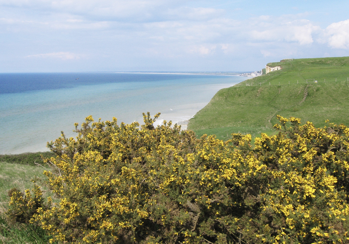Bois de Cise from Mers-les-Bains