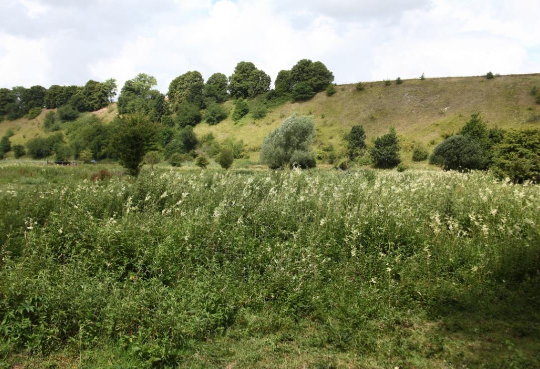 Le Passage aux Loups