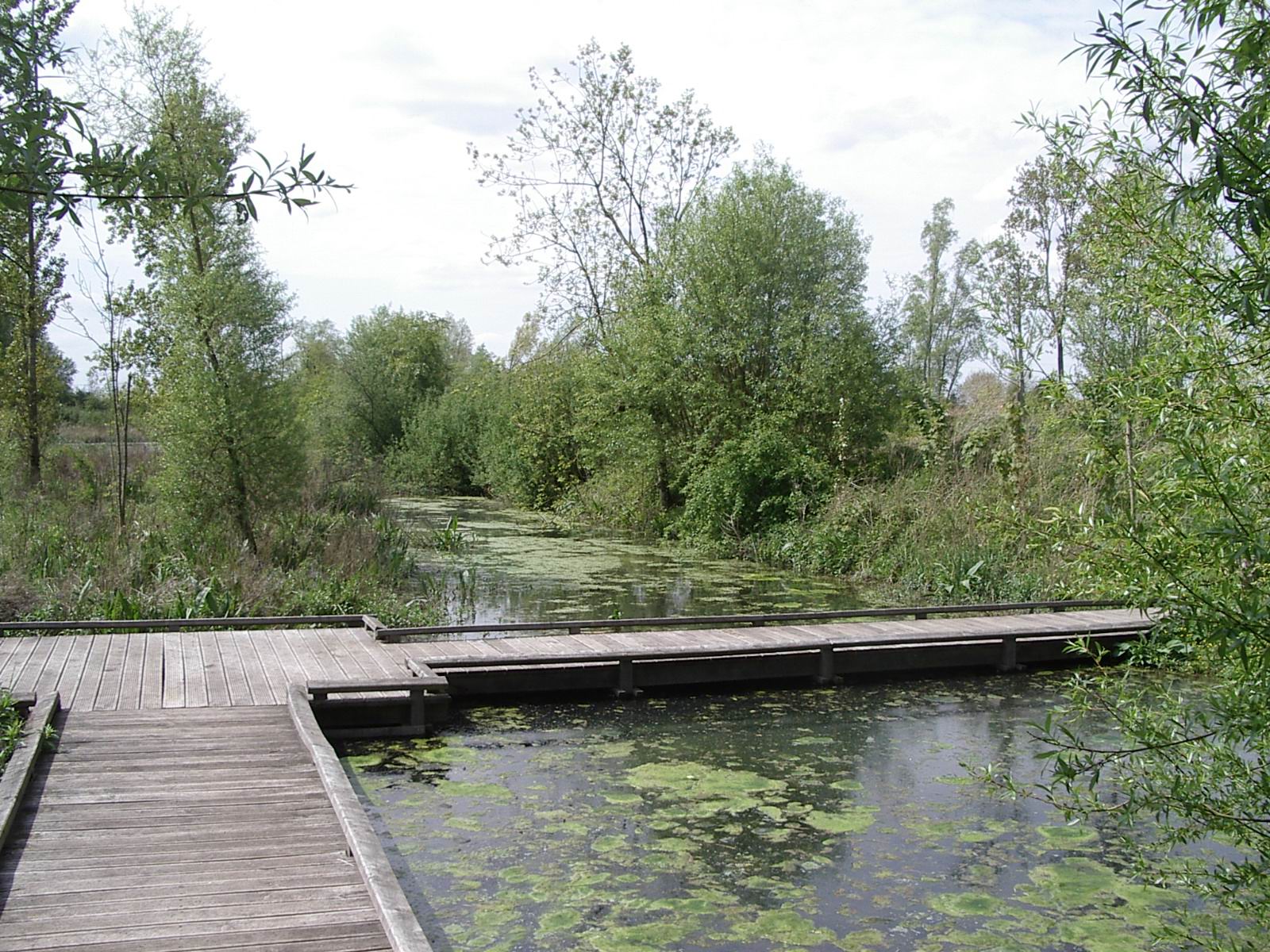 Marais de Bonnance