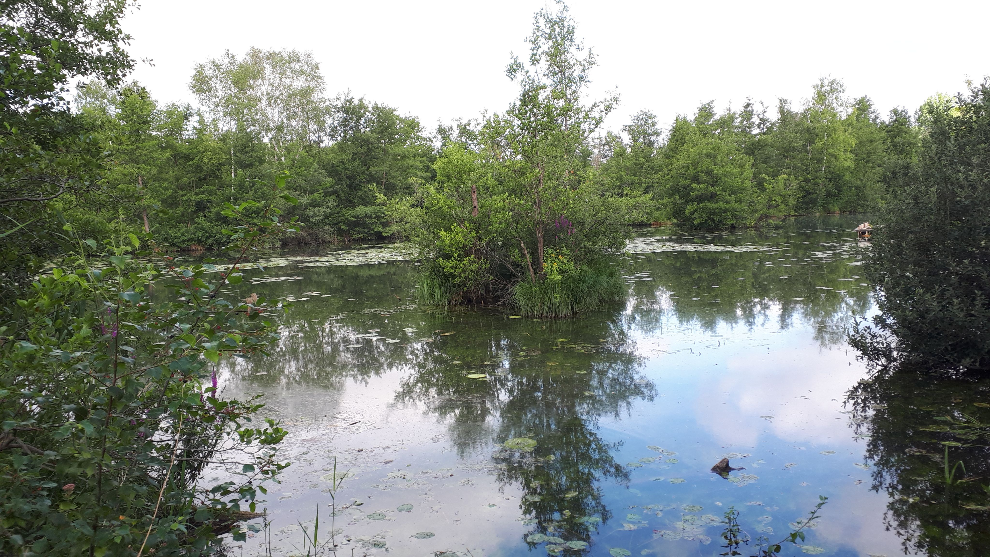 Marais de Mareuil-Caubert