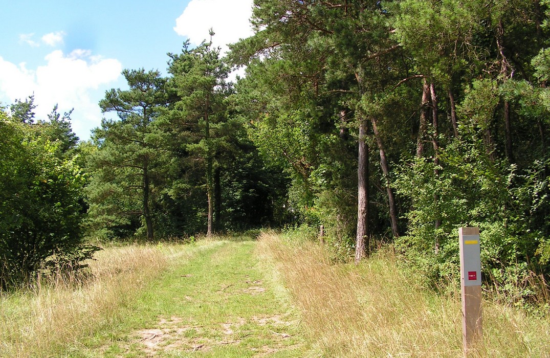 Montagne de Fignières