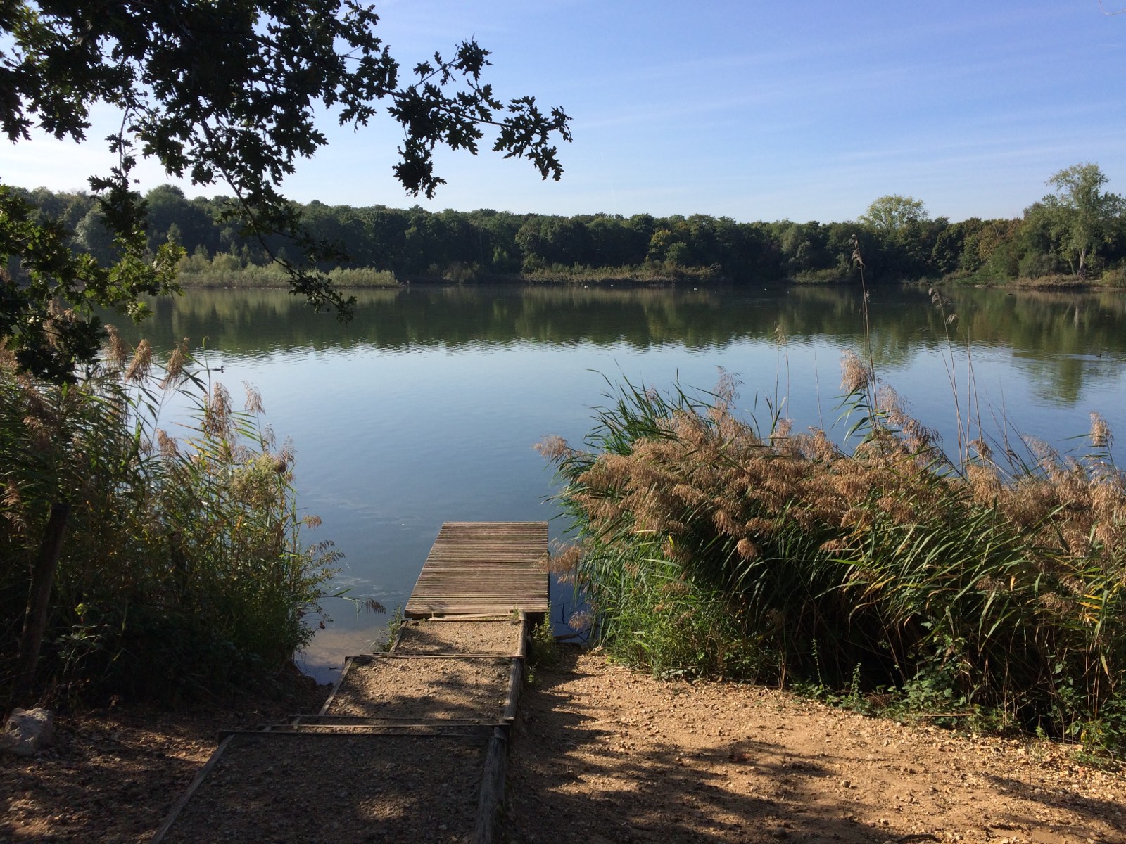 Étang du Corra by Forêt de Saint-Germain