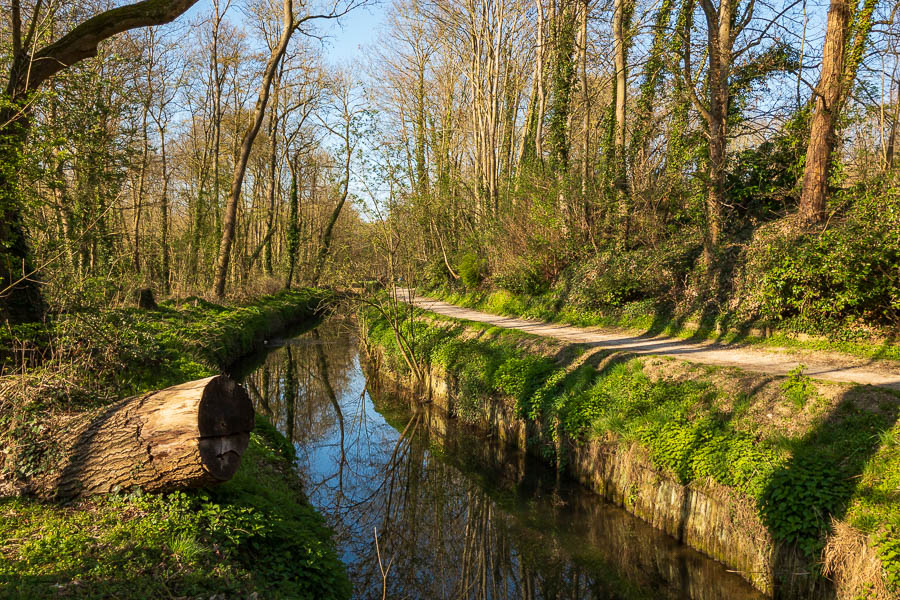 Forêt de Verrières and Bièvre
