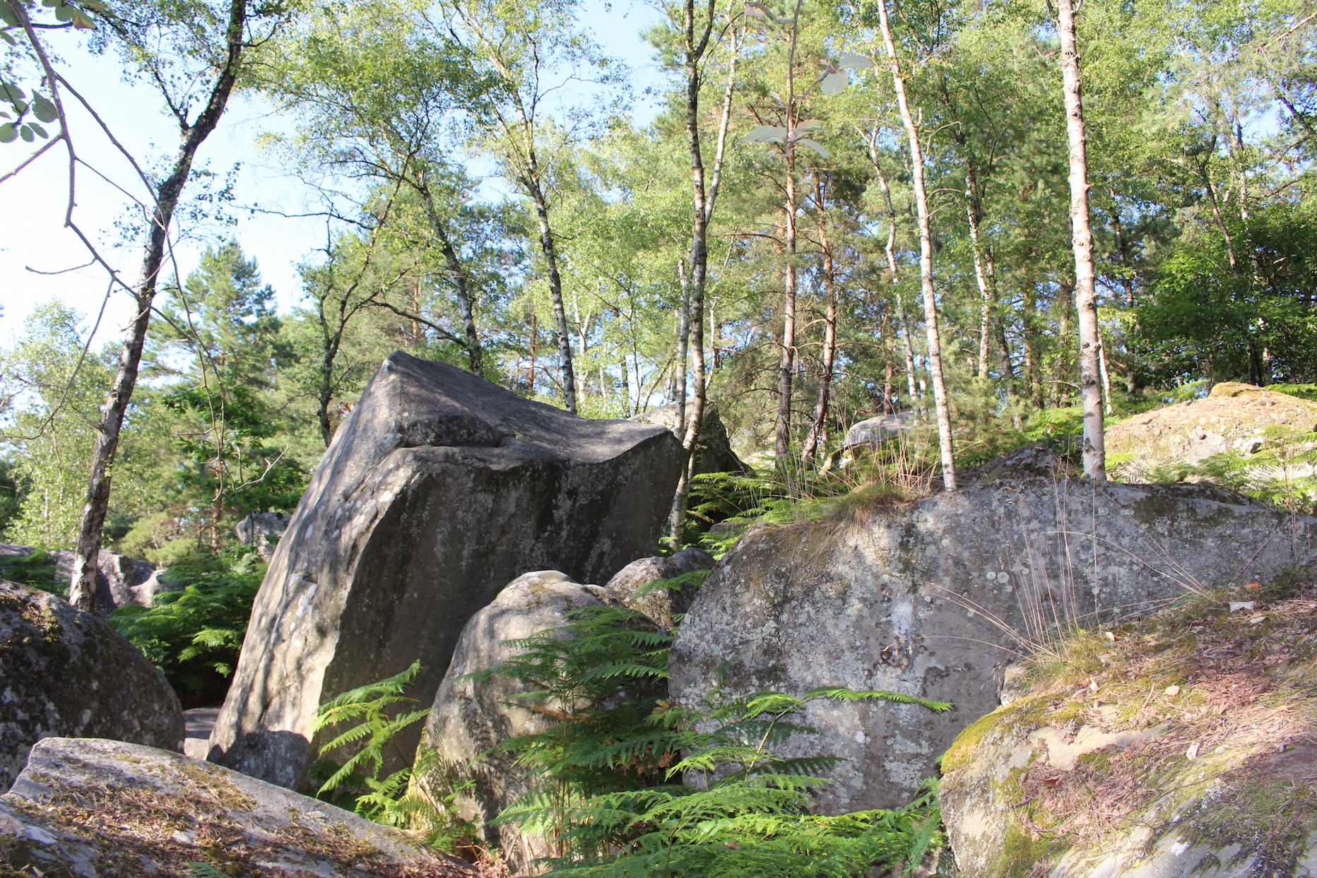 Day 1: From Fontainebleau to Barbizon