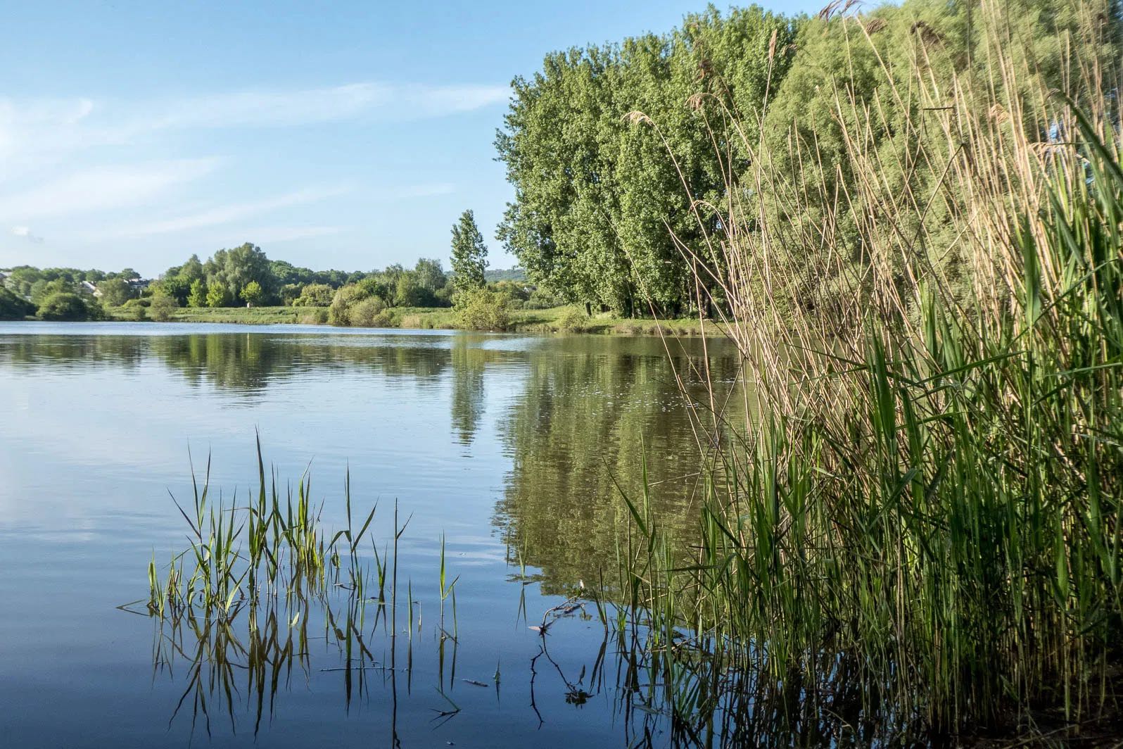 Lac de Saulx-Les-Chartreux